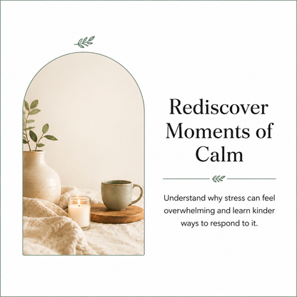 The Calm Reset Guide
